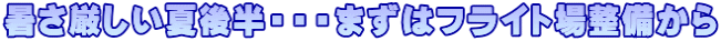 暑さ厳しい夏後半・・・まずはフライト場整備から