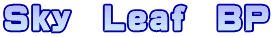 Sky　Leaf　BP