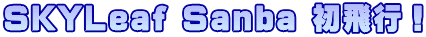 SKYLeaf Sanba 初飛行！