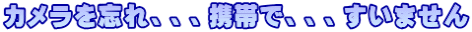 カメラを忘れ、、、携帯で、、、すいません