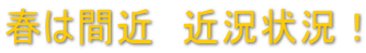 春は間近　近況状況！
